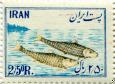 ملی شدن صنایع شیلات در ایران