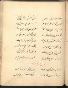 اندرزنامه‌ها- شعر فارسی