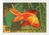 ماهی طلایی دم پروانه ای