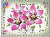 گل استبرق، نمایشگاه جهانی تمبر کره 2002