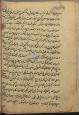 شطرنج/ سرگرمیها