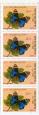 پروانه طاووسی آبی، سری شاهپرک