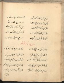 ادبیات ( شعر فارسی )