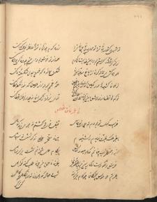 ادبیات ( شعر فارسی )